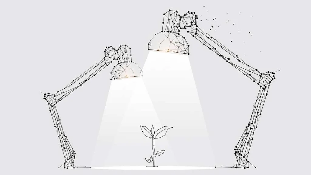 Optimización de velocidad de carga y WPO para WordPress
